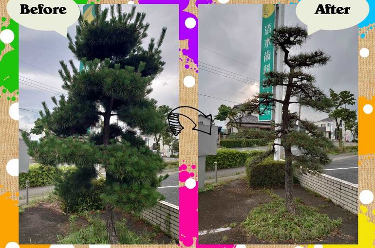 埼玉県の造園業