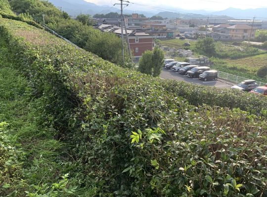 埼玉の造園業